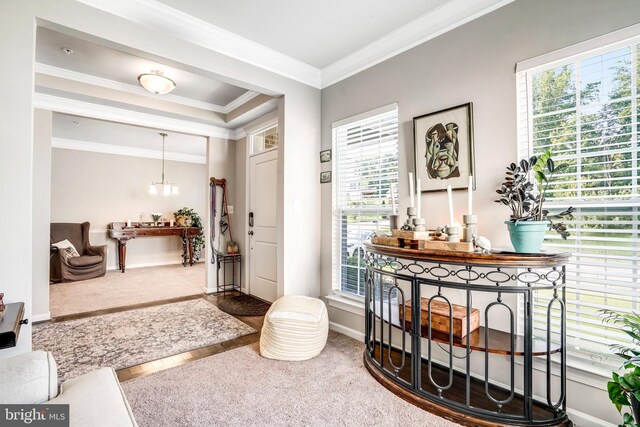 living area featuring ornamental molding and carpet flooring