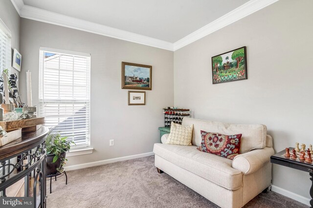 view of carpeted home office