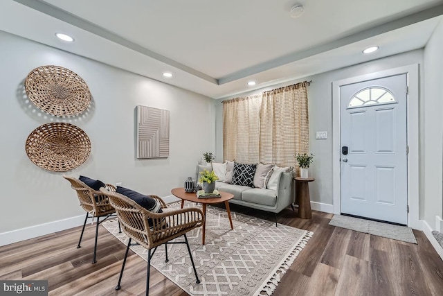 entryway featuring hardwood / wood-style floors