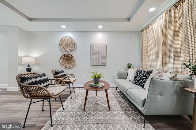 living room featuring a raised ceiling and hardwood / wood-style flooring