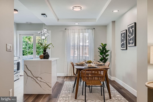 dining space featuring dark wood-type flooring and a raised ceiling