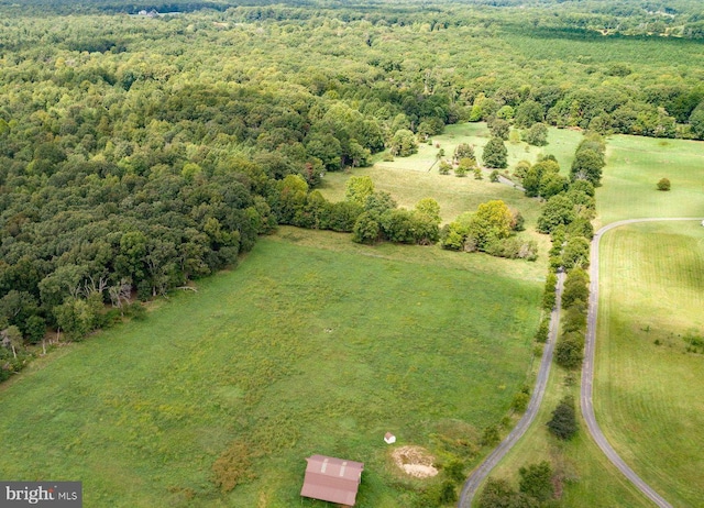 bird's eye view with a view of trees