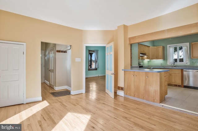 kitchen featuring light hardwood / wood-style floors, sink, and stainless steel dishwasher