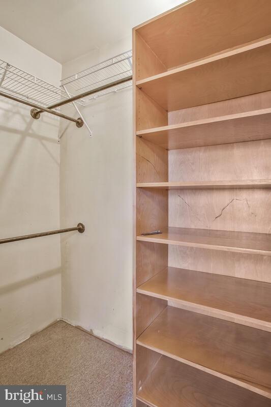 spacious closet featuring carpet floors