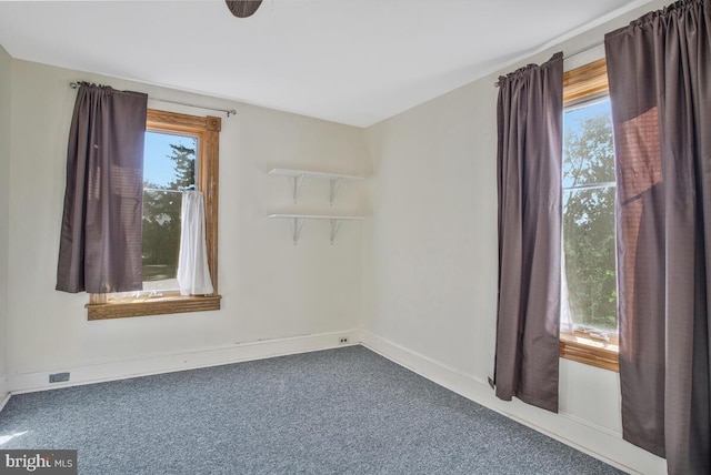 empty room featuring carpet and a wealth of natural light