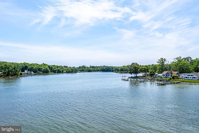 water view featuring a dock