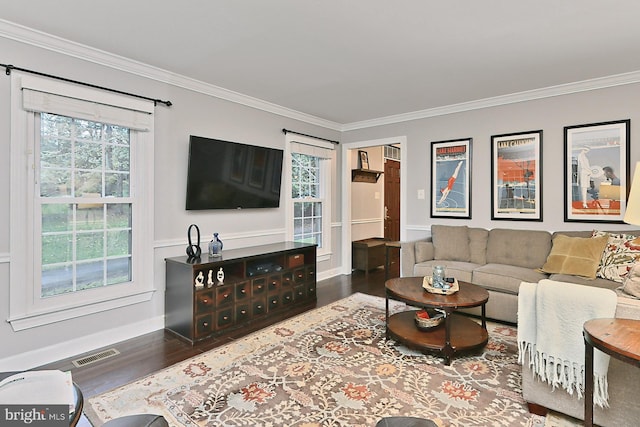 living room featuring ornamental molding and dark wood-type flooring