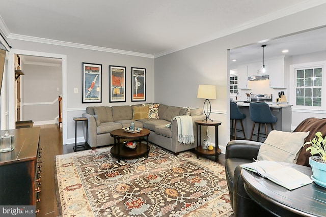 living room featuring light wood-type flooring and crown molding