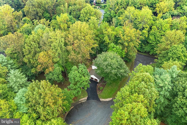 bird's eye view