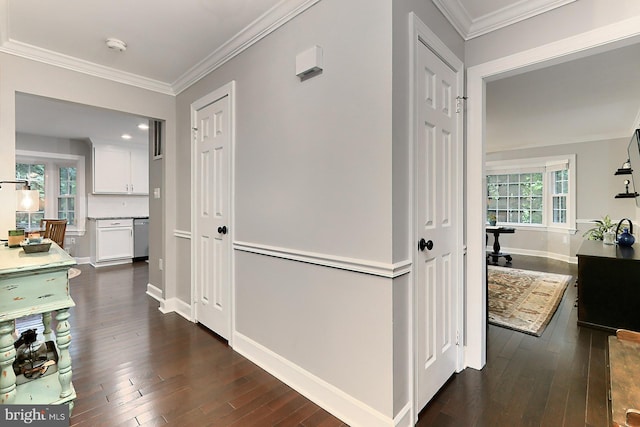 corridor with a healthy amount of sunlight, ornamental molding, and dark wood-type flooring