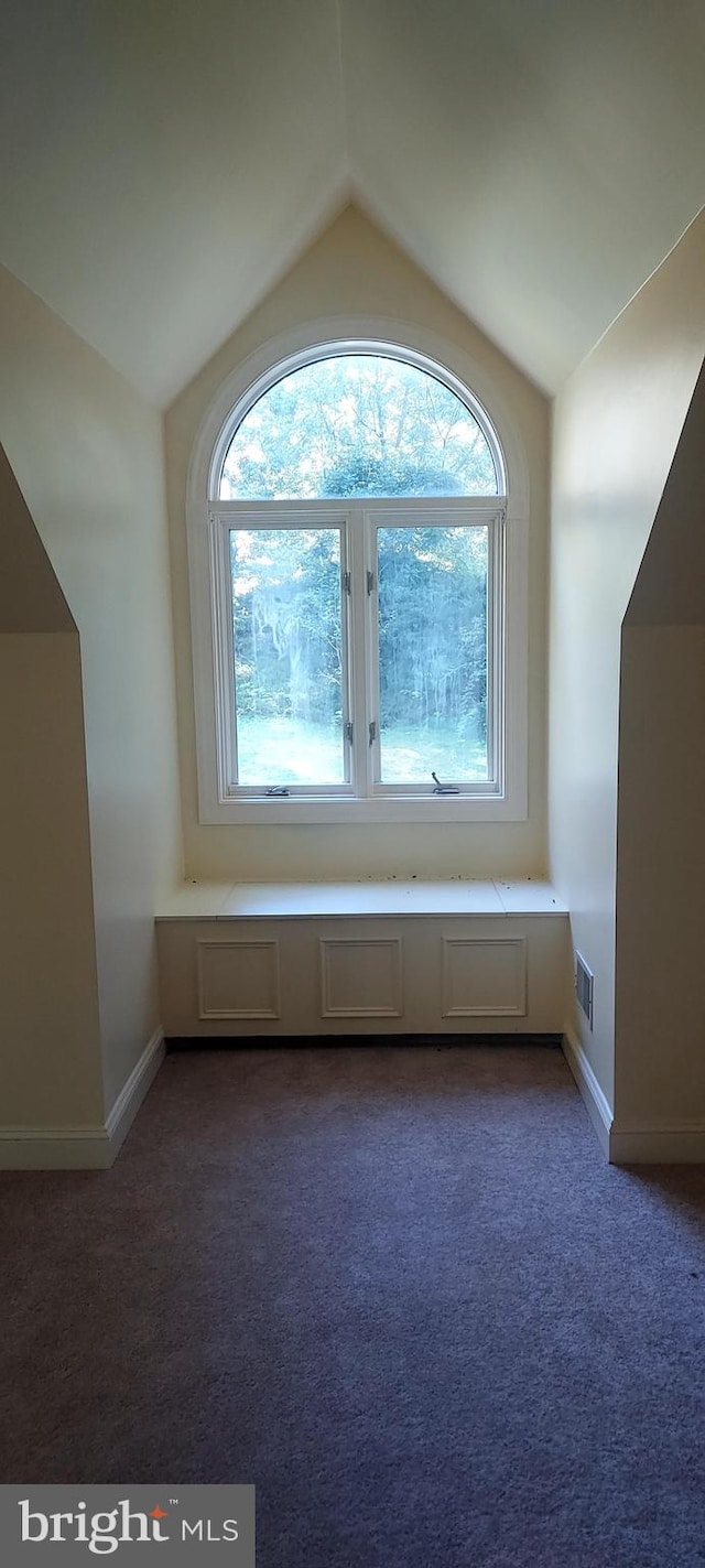 additional living space with dark carpet, plenty of natural light, and vaulted ceiling