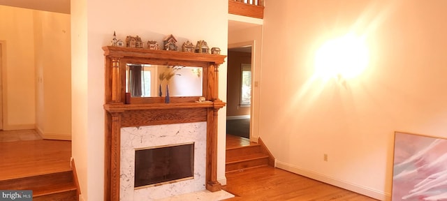 living room with wood-type flooring and a high end fireplace