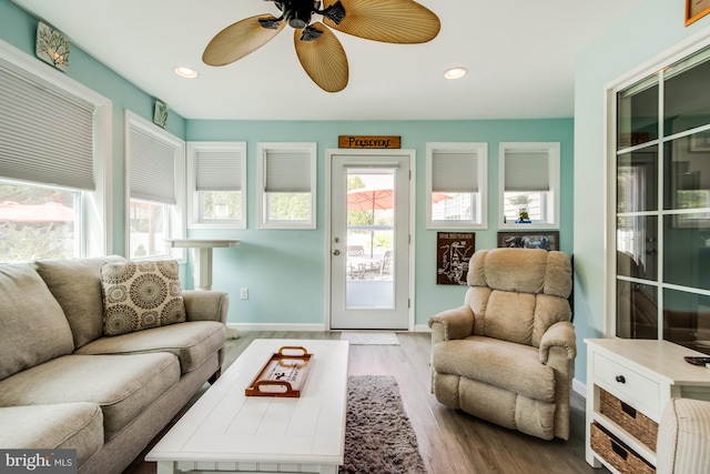 living room with ceiling fan and light hardwood / wood-style floors