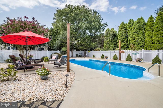 view of pool with a patio