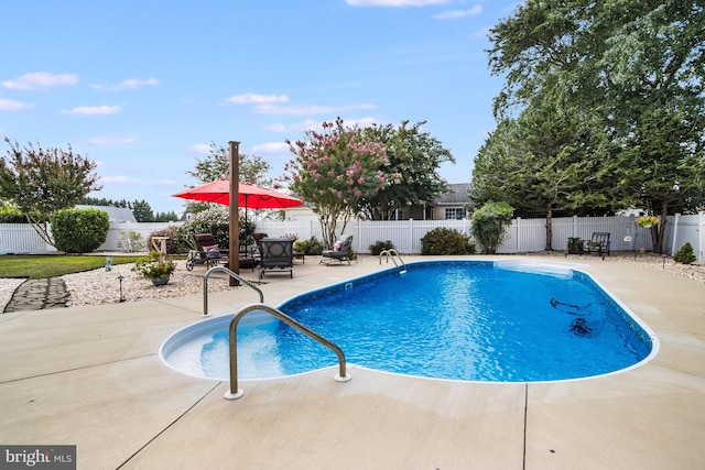 view of pool with a patio area