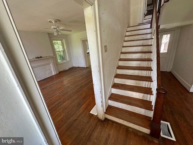 stairway with ceiling fan, wood finished floors, and visible vents