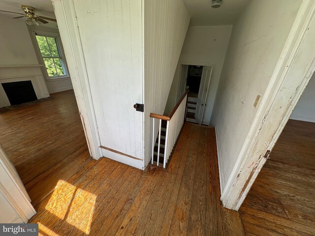 hall featuring dark wood finished floors