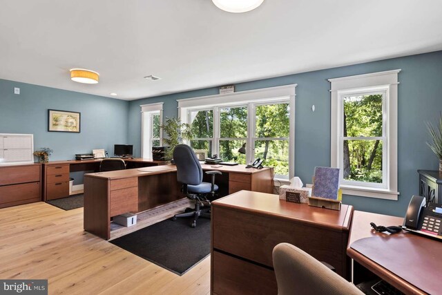 office area featuring a wealth of natural light and light hardwood / wood-style flooring