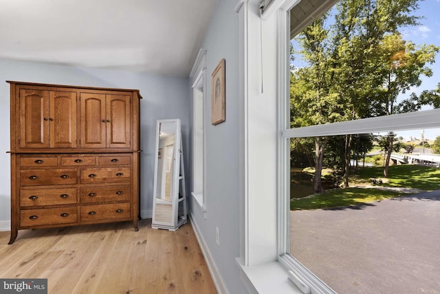 bedroom with light hardwood / wood-style floors and multiple windows