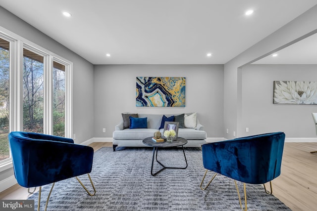 living room featuring plenty of natural light and light hardwood / wood-style flooring