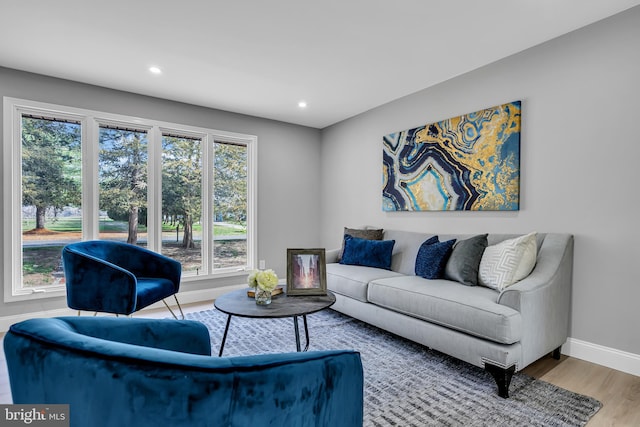 living room featuring a wealth of natural light and hardwood / wood-style flooring