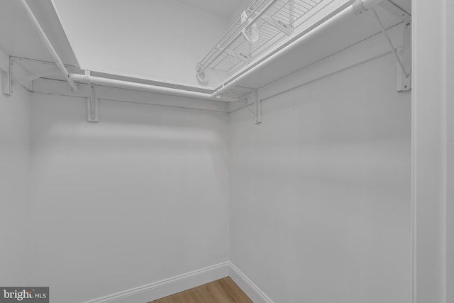 walk in closet featuring hardwood / wood-style floors