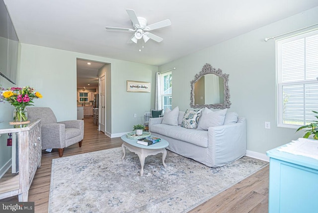 living room with ceiling fan and hardwood / wood-style flooring