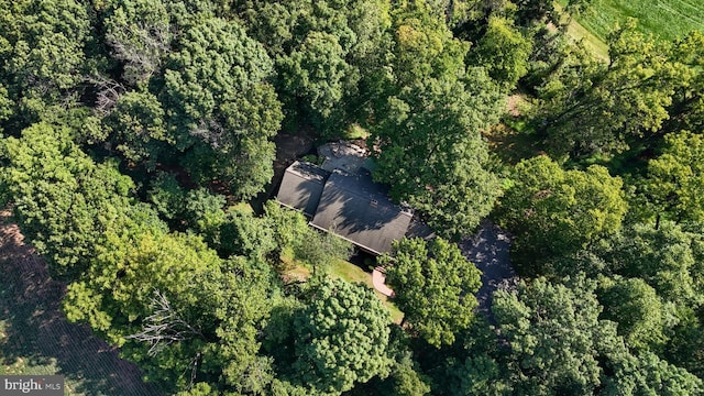 aerial view with a forest view