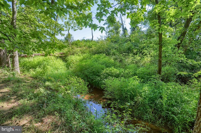 view of nature with a water view