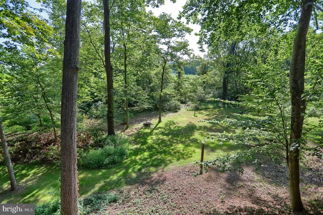 view of nature with a forest view