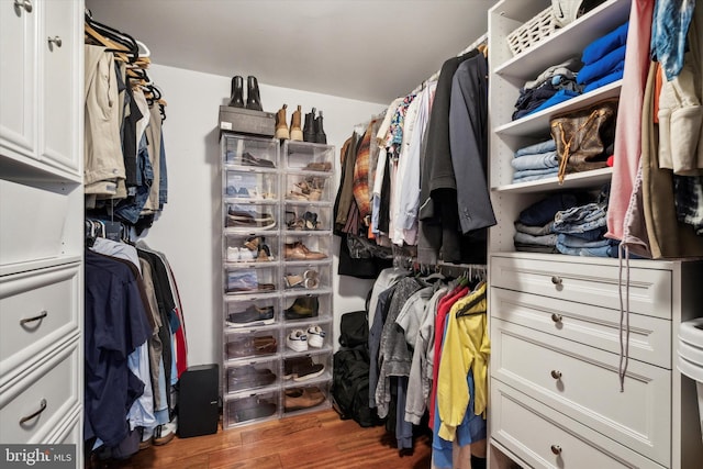 spacious closet featuring dark hardwood / wood-style flooring