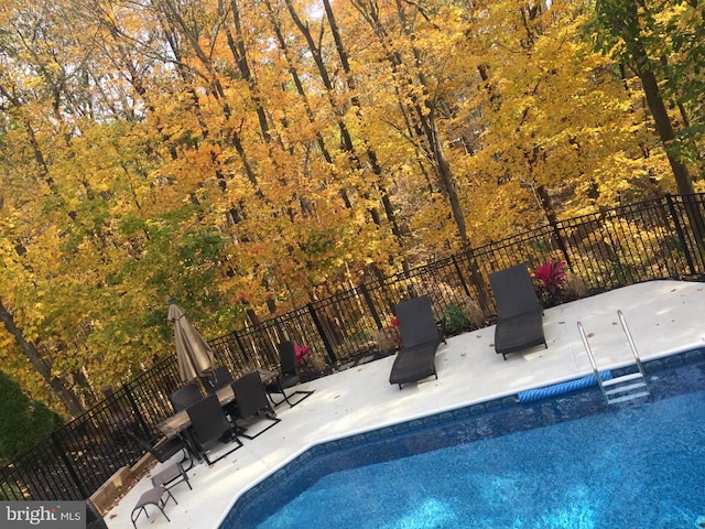 view of swimming pool featuring a patio area