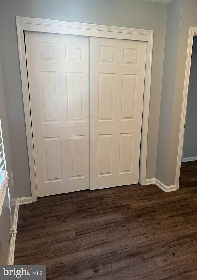 interior space with a closet and dark hardwood / wood-style flooring