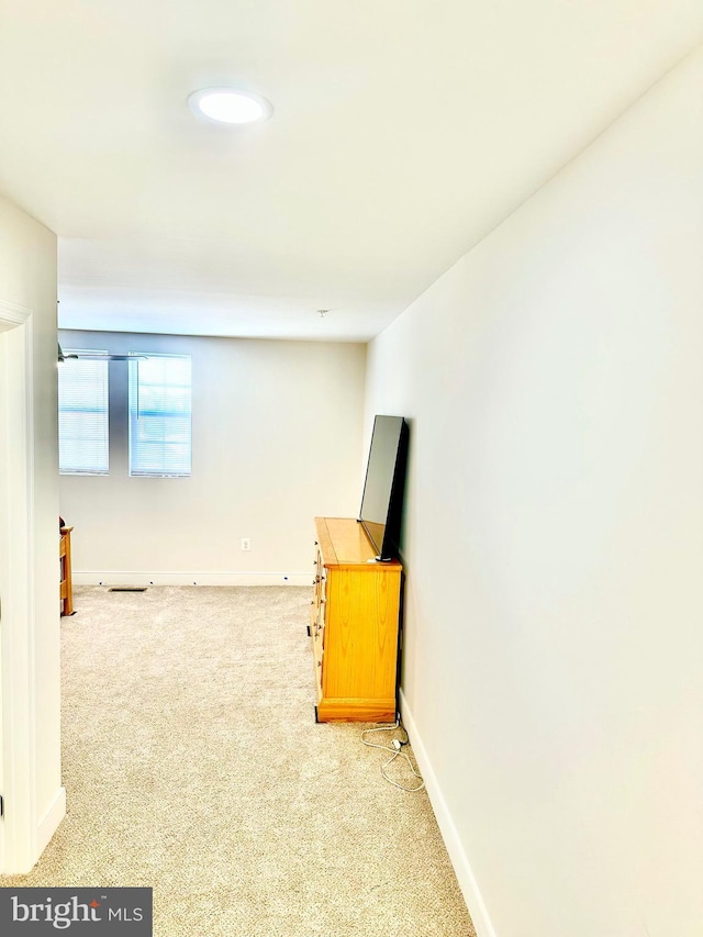 basement with light carpet