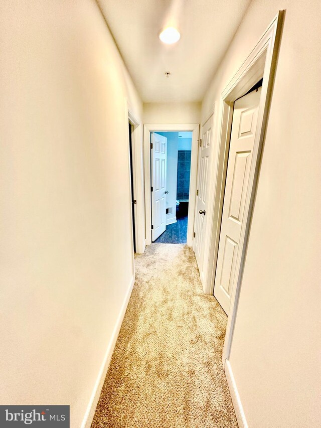 hallway with light carpet