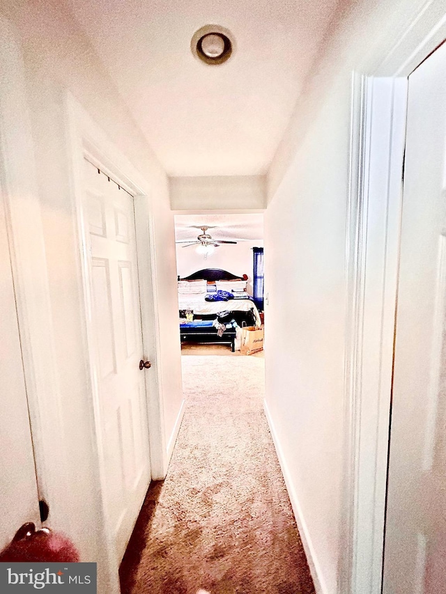 hall with carpet flooring and a textured ceiling