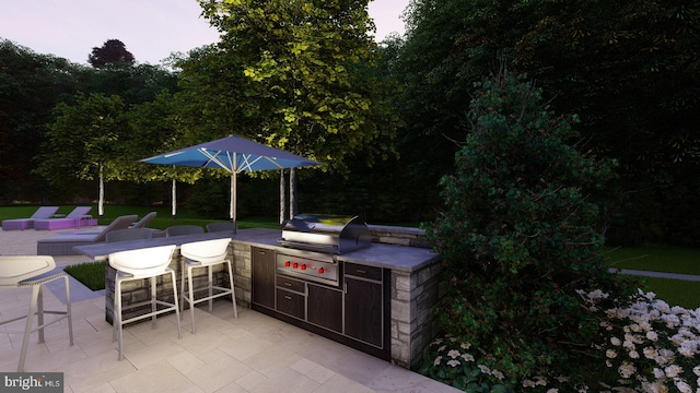 view of patio / terrace with an outdoor kitchen and a grill