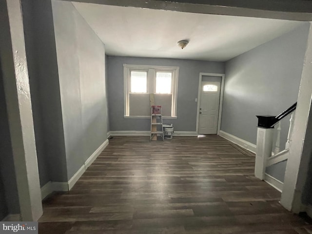 entrance foyer with dark wood-type flooring