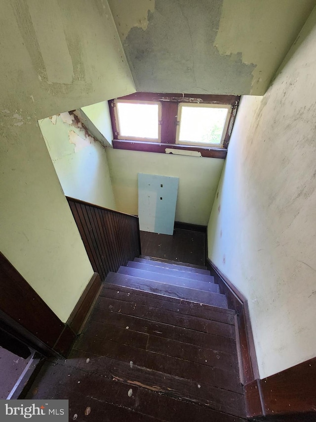 stairway with wood-type flooring