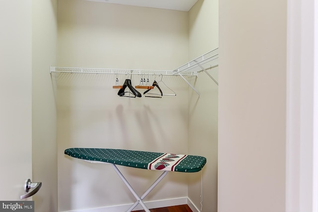 spacious closet with wood-type flooring