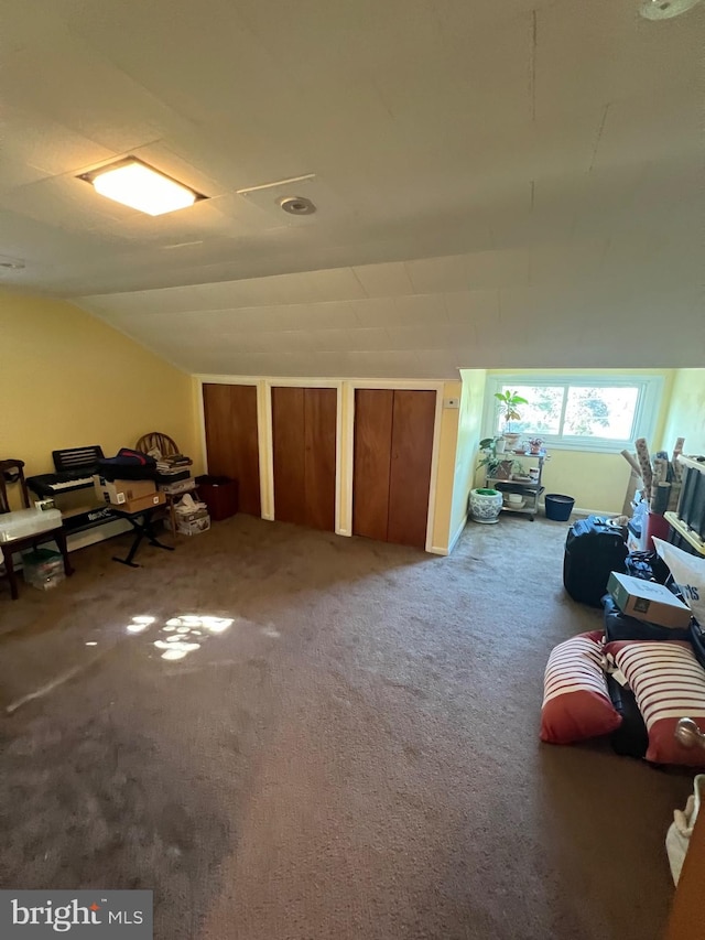 miscellaneous room featuring lofted ceiling and carpet flooring