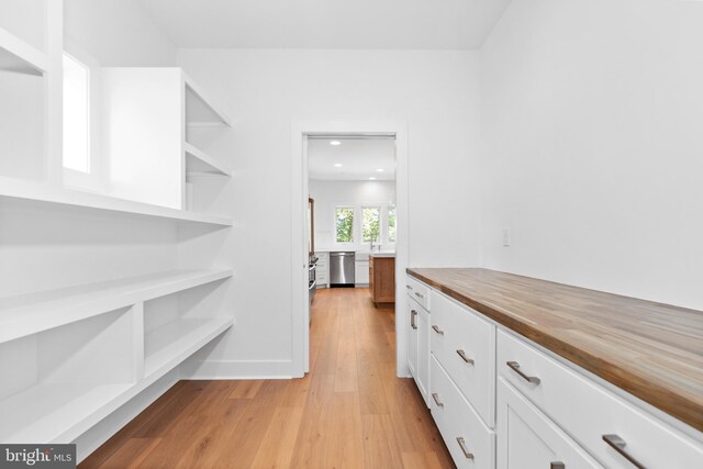 spacious closet with light hardwood / wood-style floors