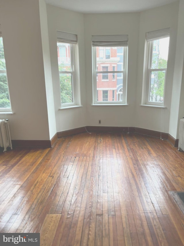 spare room with radiator, baseboards, dark wood finished floors, and a wealth of natural light