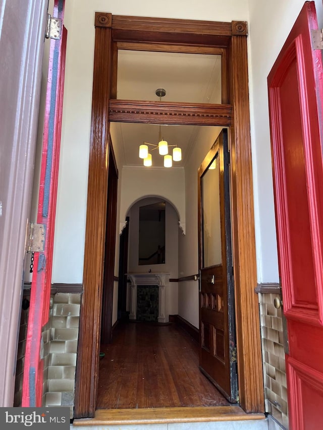 hall featuring baseboards, ornamental molding, dark wood finished floors, and arched walkways