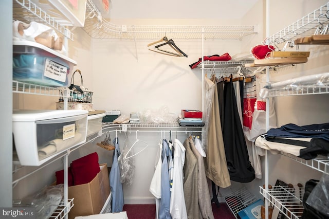 view of spacious closet