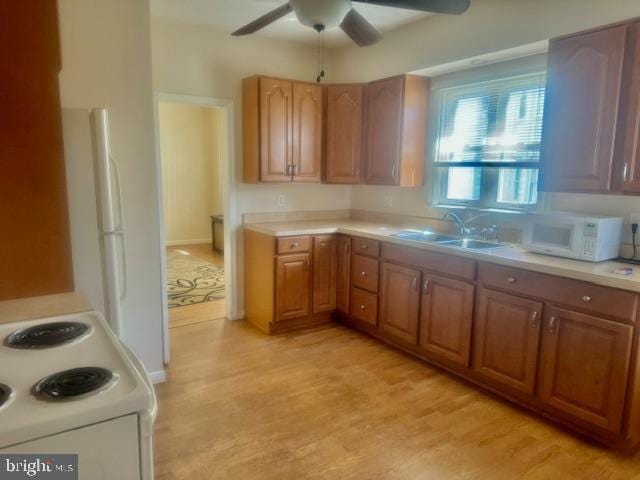 kitchen with ceiling fan, sink, light hardwood / wood-style floors, and range