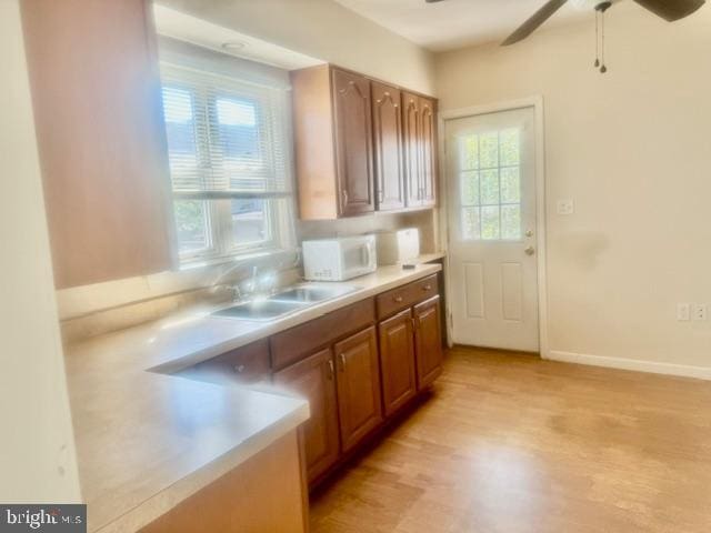 kitchen featuring a wealth of natural light, ceiling fan, light hardwood / wood-style floors, and sink