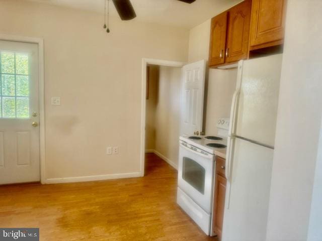 kitchen featuring ceiling fan, light hardwood / wood-style flooring, and white appliances