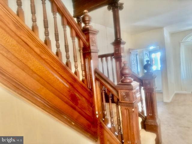 staircase with carpet floors