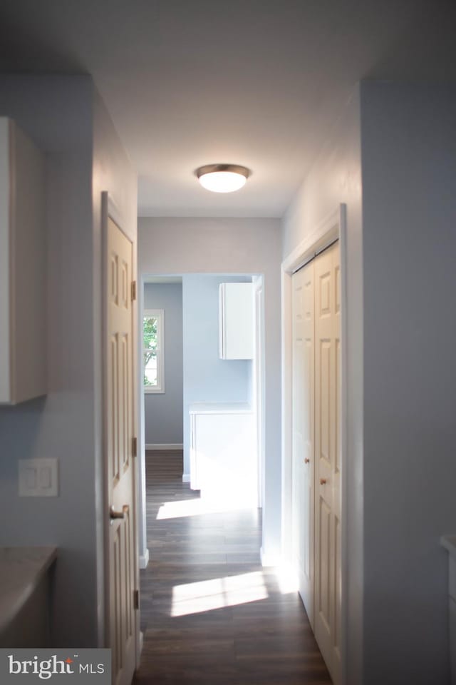 hall with dark hardwood / wood-style floors